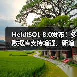 HeidiSQL 8.0发布!多数据库支持增强,新增23种语言及修复关键BUG(图3) HeidiSQL 8.0发布!多数据库支持增强,新增23种语言及修复关键BUG(图3)