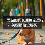 网站如何长期稳定运行?关键策略全解析(图3) 网站如何长期稳定运行?关键策略全解析(图3)
