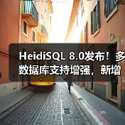 HeidiSQL 8.0发布!多数据库支持增强,新增23种语言及修复关键BUG(图4) HeidiSQL 8.0发布!多数据库支持增强,新增23种语言及修复关键BUG(图4)