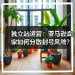 独立站运营：亚马逊卖家如何分散封号风险？ - 诺云路远科技资讯网