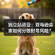 独立站运营:亚马逊卖家如何分散封号风险?(图2) 独立站运营:亚马逊卖家如何分散封号风险?(图2)