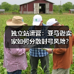 独立站运营:亚马逊卖家如何分散封号风险?(图4) 独立站运营:亚马逊卖家如何分散封号风险?(图4)