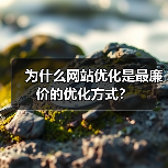 为什么网站优化是最廉价的优化方式?(图2) 为什么网站优化是最廉价的优化方式?(图2)