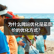 为什么网站优化是最廉价的优化方式?(图3) 为什么网站优化是最廉价的优化方式?(图3)