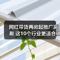 网红带货再掀起推广高潮 这10个行业更适合做网站优化(图2) 网红带货再掀起推广高潮 这10个行业更适合做网站优化(图2)
