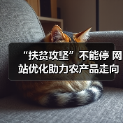 “扶贫攻坚”不能停 网站优化助力农产品走向市场(图4) “扶贫攻坚”不能停 网站优化助力农产品走向市场(图3)