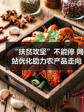 “扶贫攻坚”不能停 网站优化助力农产品走向市场 - 诺云路远科技资讯网