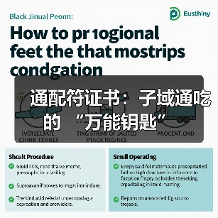 通配符证书:子域通吃的 “万能钥匙”(图2) 通配符证书:子域通吃的 “万能钥匙”(图2)