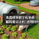 食品标签数字化革命:解码舌尖上的 食品标签数字化革命:解码舌尖上的透明时代(图1)