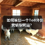 如何策划一个ToB外贸营销型网站?(图3) 如何策划一个ToB外贸营销型网站?(图3)
