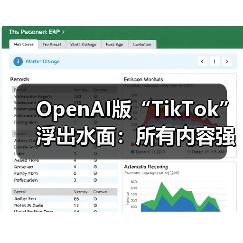 OpenAI版“TikTok”浮出水面：所有内容强制AI生 - 诺云路远科技资讯网