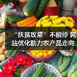 “扶贫攻坚”不能停 网站优化助力农产品走向市场(图1) “扶贫攻坚”不能停 网站优化助力农产品走向市场(图1)