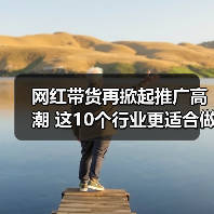 网红带货再掀起推广高潮 这10个行业更适合做网站优化(图3) 网红带货再掀起推广高潮 这10个行业更适合做网站优化(图3)