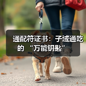 通配符证书:子域通吃的 “万能钥匙”(图2) 通配符证书:子域通吃的 “万能钥匙”(图2)