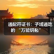 通配符证书:子域通吃的 “万能钥匙”(图1) 通配符证书:子域通吃的 “万能钥匙”(图1)