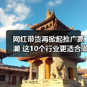 网红带货再掀起推广高潮 这10个行业更适合做网站优化(图4) 网红带货再掀起推广高潮 这10个行业更适合做网站优化(图4)