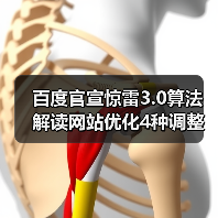 百度官宣惊雷3.0算法 解读网站优化4种调整策略(图4) 百度官宣惊雷3.0算法 解读网站优化4种调整策略(图4)