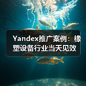 Yandex推广案例:橡塑设备行业当天见效(图2) Yandex推广案例:橡塑设备行业当天见效(图2)