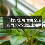 「数字出海 智赢全球」布局2025企业出海新机遇--淄博站 - 诺云路远科技资讯网