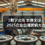 「数字出海 智赢全球」2025企业出海营销大会——东莞站 圆满落幕！ - 诺云路远科技资讯网