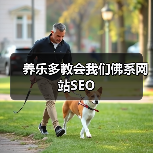 养乐多教会我们佛系网站SEO - 诺云路远科技资讯网