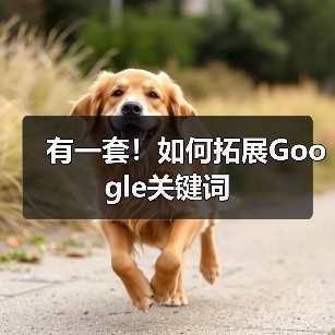 有一套!如何拓展Google关键词(图1) 有一套!如何拓展Google关键词(图1)