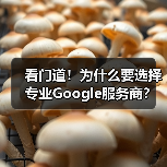 看门道！为什么要选择专业Google服务商？ - 诺云路远科技资讯网