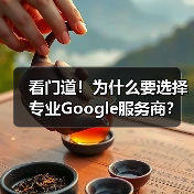 看门道!为什么要选择专业Google服务商?(图4) 看门道!为什么要选择专业Google服务商?(图4)