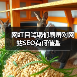 网红自嗨锅们刷屏对网站SEO有何借鉴(图3)