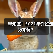 早知道!2021年外贸走势如何?(图4) 早知道!2021年外贸走势如何?(图4)