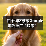 四个误区蒙蔽Google海外推广“双眼”(图2) 四个误区蒙蔽Google海外推广“双眼”(图2)