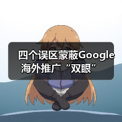 四个误区蒙蔽Google海外推广“双眼”(图4) 四个误区蒙蔽Google海外推广“双眼”(图4)