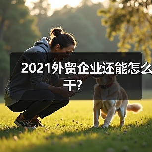 2021外贸企业还能怎么干?(图4) 2021外贸企业还能怎么干?(图4)