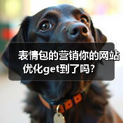 表情包的营销你的网站优化get到了吗?(图3) 表情包的营销你的网站优化get到了吗?(图2)