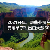 2021开年,哪些外贸产品爆单了?出口大涨50%以上!(图4) 2021开年,哪些外贸产品爆单了?出口大涨50%以上!(图4)