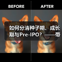 如何分清种子期、成长期与Pre-IPO?——带你3分钟搞懂风险投资的四大类型(图4) 如何分清种子期、成长期与Pre-IPO?——带你3分钟搞懂风险投资的四大类型(图4)