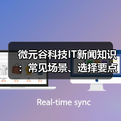 微元谷科技IT新闻知识:常见场景、选择要点与注意事项(图1) 微元谷科技IT新闻知识:常见场景、选择要点与注意事项(图1)