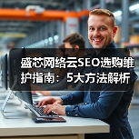 盛芯网络云SEO选购维护指南：5大方法解析常见问题 - 诺云路远科技资讯网