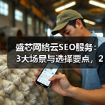 盛芯网络云SEO服务：3大场景与选择要点，2026年企业必看 - 诺云路远科技资讯网