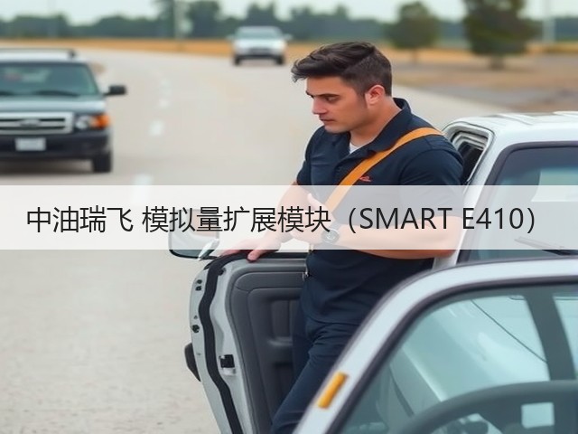 中油瑞飞 模拟量扩展模块(SMART E410)(图2) 中油瑞飞 模拟量扩展模块(SMART E410)(图2)