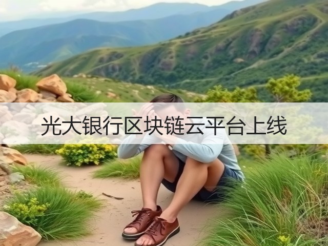 光大银行区块链云平台上线(图3) 光大银行区块链云平台上线(图3)