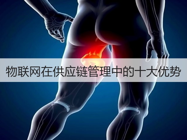 物联网在供应链管理中的十大优势(图3) 物联网在供应链管理中的十大优势(图3)