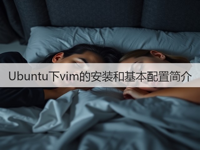 Ubuntu下vim的安装和基本配置简介(图1)