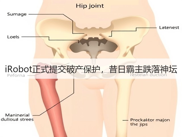iRobot正式提交破产保护,昔日霸主跌落神坛(图2) iRobot正式提交破产保护,昔日霸主跌落神坛(图2)