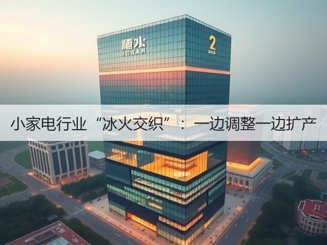 小家电行业“冰火交织”:一边调整一边扩产(图3) 小家电行业“冰火交织”:一边调整一边扩产(图3)