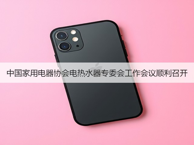 中国家用电器协会电热水器专委会工作会议顺利召开(图2) 中国家用电器协会电热水器专委会工作会议顺利召开(图2)