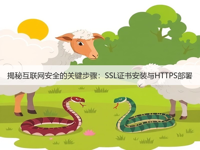 揭秘互联网安全的关键步骤：SSL证书安装与HTTPS部署 - 诺云路远科技资讯网