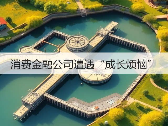 消费金融公司遭遇“成长烦恼”(图3)