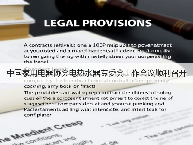 中国家用电器协会电热水器专委会工作会议顺利召开(图3) 中国家用电器协会电热水器专委会工作会议顺利召开(图3)