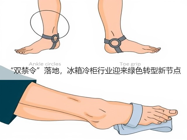 “双禁令”落地,冰箱冷柜行业迎来绿色转型新节点(图2) “双禁令”落地,冰箱冷柜行业迎来绿色转型新节点(图2)